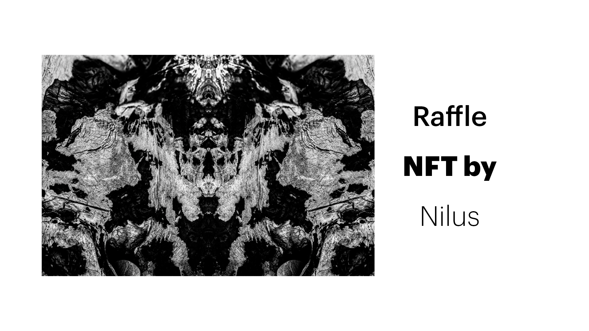 Raffle NFT by Nilus